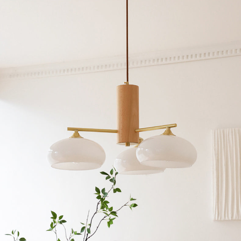 Modern Oval Chandelier Light in Metal and Glass – Elegant Design for Stylish Home Décor 6