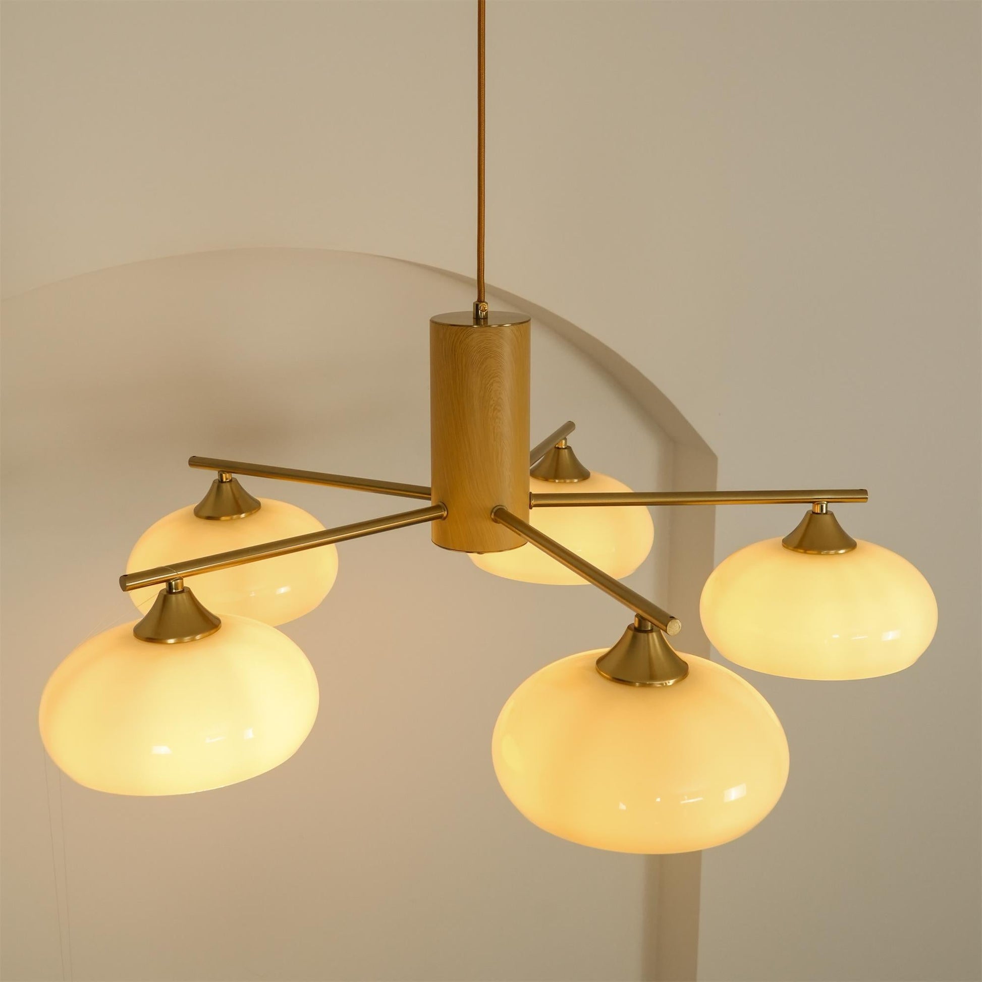 Modern Oval Chandelier Light in Metal and Glass – Elegant Design for Stylish Home Décor 7